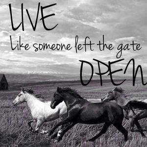 Meet your Posher, Sandy